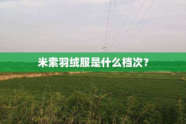 米索羽绒服是什么档次？