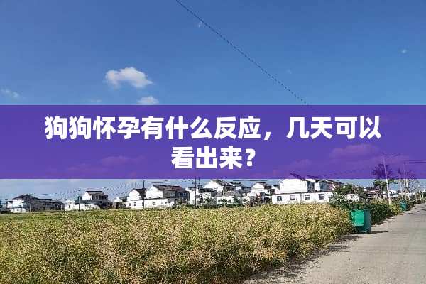 狗狗怀孕有什么反应，几天可以看出来？