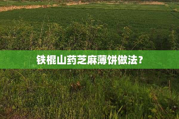 铁棍山药芝麻薄饼做法？