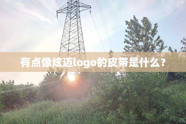 有点像炫迈logo的皮带是什么？