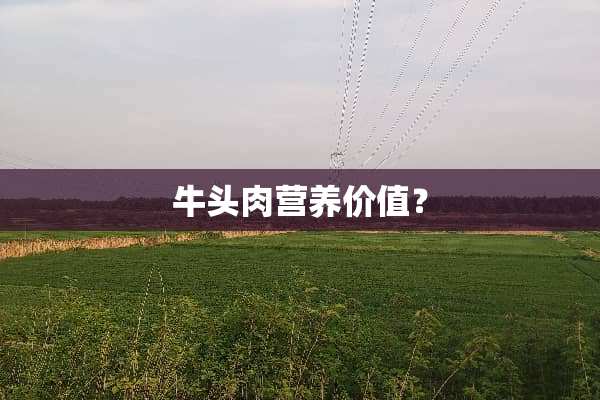 牛头肉营养价值？