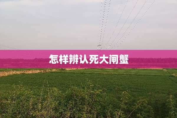 怎样辨认死大闸蟹
