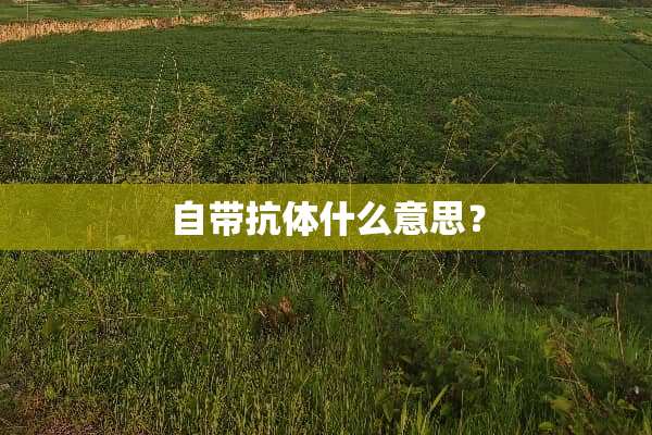 自带抗体什么意思？