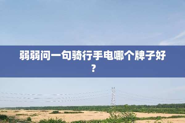 弱弱问一句骑行手电哪个牌子好？