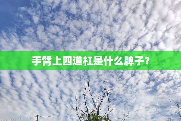 手臂上四道杠是什么牌子？