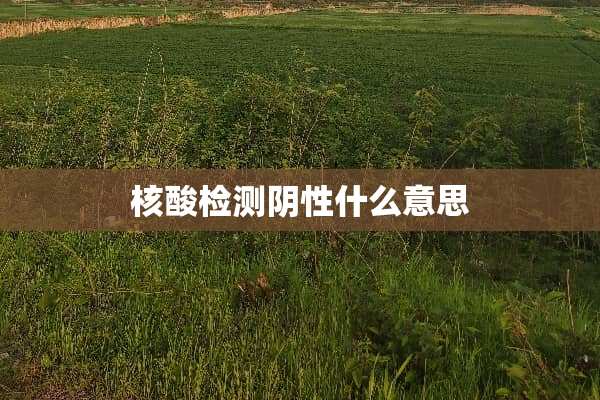 核酸检测*性什么意思
