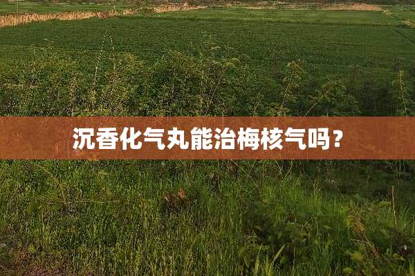 沉香化气丸能治梅核气吗？