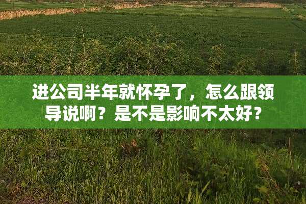 进公司半年就怀孕了，怎么跟领导说啊？是不是影响不太好？