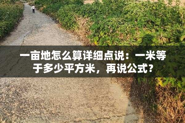 一亩地怎么算详细点说：一米等于多少平方米，再说公式？