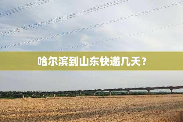 哈尔滨到山东快递几天？