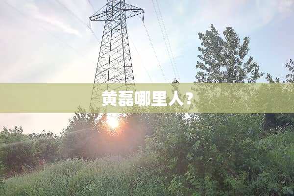 黄磊哪里人？