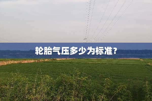 轮胎气压多少为标准？