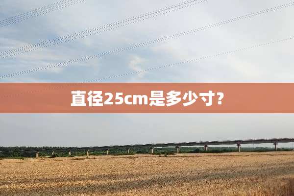直径25cm是多少寸？