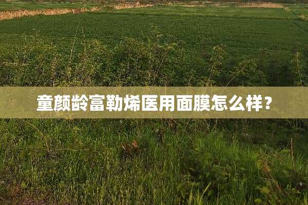 童颜龄富勒烯医用面膜怎么样？