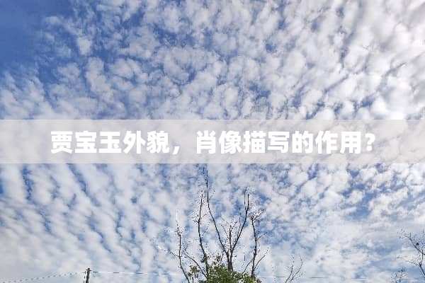 贾宝玉外貌，肖像描写的作用？