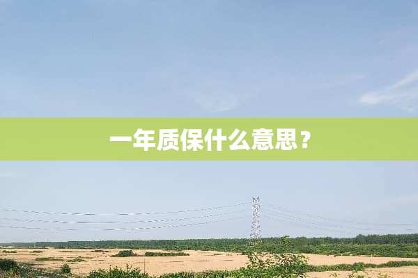 一年质保什么意思？