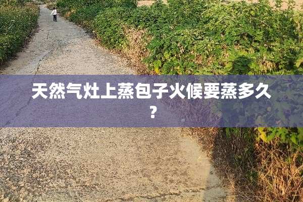 天然气灶上蒸包子火候要蒸多久？