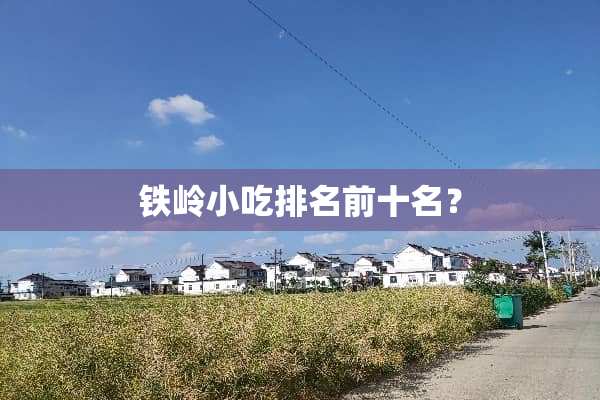 铁岭小吃排名前十名？