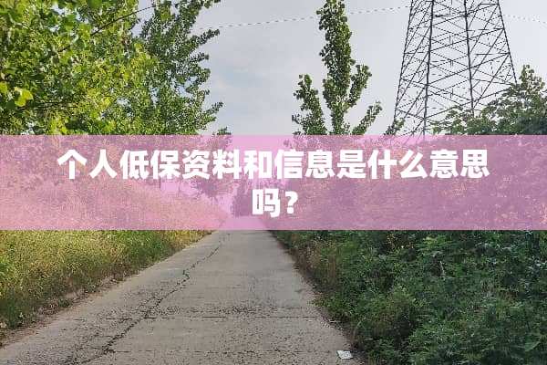 个人低保资料和信息是什么意思吗？