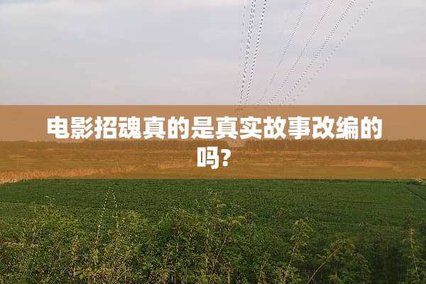 电影招魂真的是真实故事改编的吗?