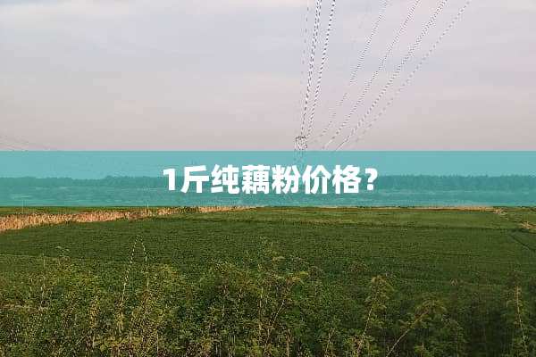 1斤纯藕粉价格？
