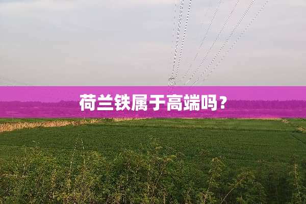 荷兰铁属于高端吗？