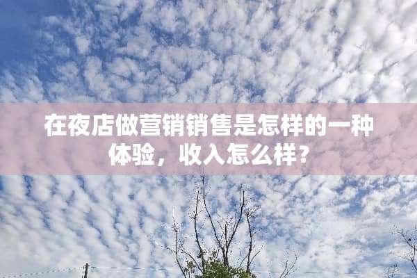 在夜店做营销销售是怎样的一种体验，收入怎么样？