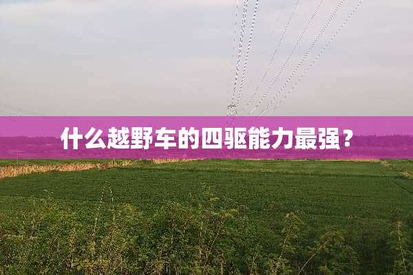 什么越野车的四驱能力最强？