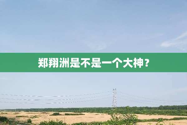 郑翔洲是不是一个大神？
