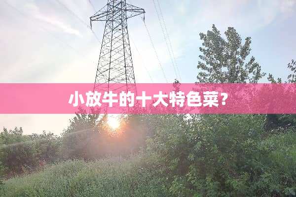 小放牛的十大特色菜？