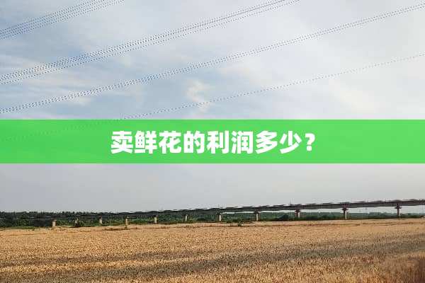 卖鲜花的利润多少？