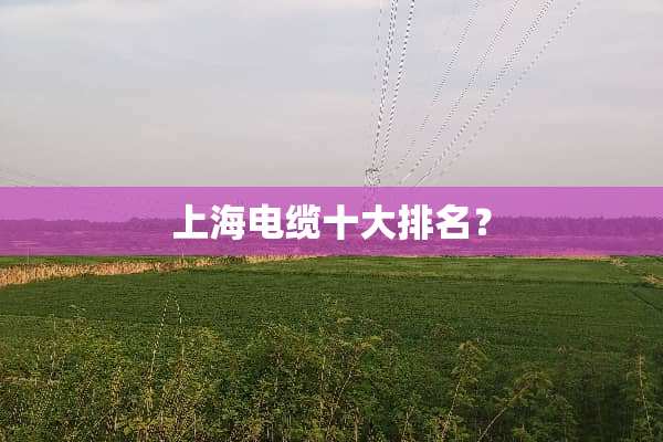 上海电缆十大排名？