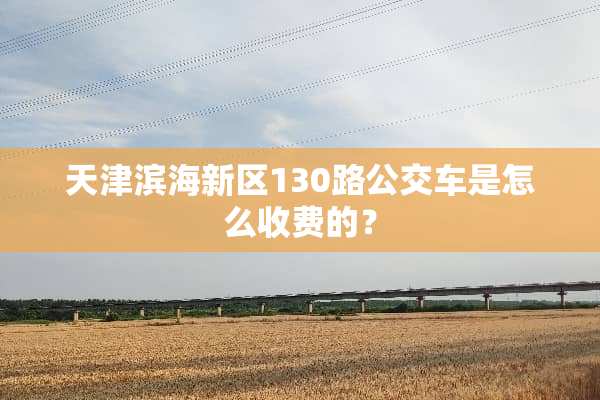 天津滨海新区130路公交车是怎么收费的？