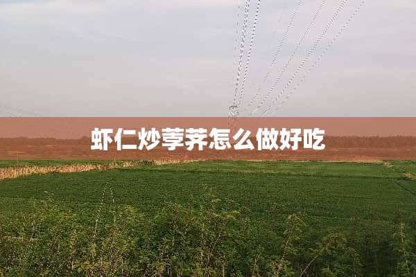 虾仁炒荸荠怎么做好吃