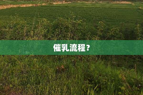 催*流程？