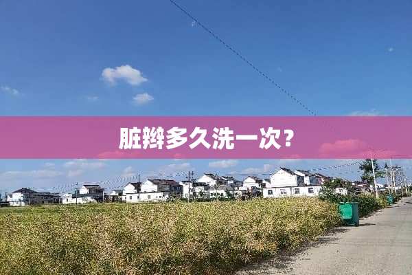 脏辫多久洗一次？