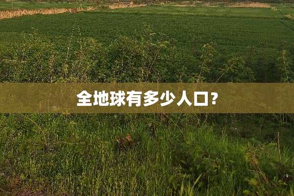 全地球有多少人口？