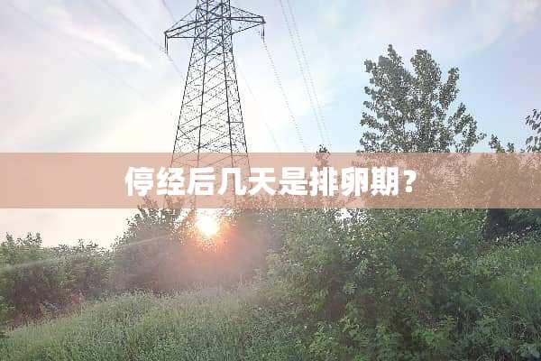 停经后几天是排卵期？