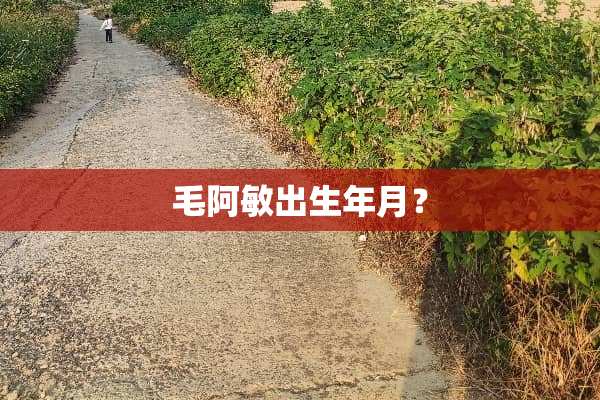 毛阿敏出生年月？