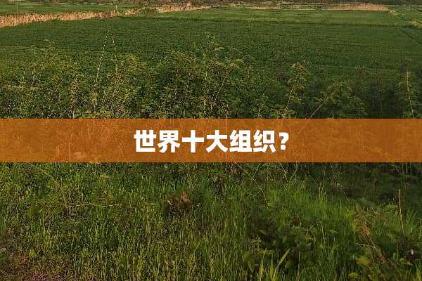 世界十大组织？