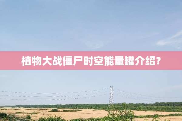 植物大战僵尸时空能量罐介绍？