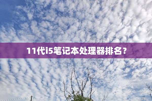 11代i5笔记本处理器排名？