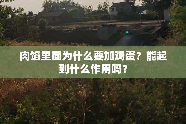 肉馅里面为什么要加鸡蛋？能起到什么作用吗？