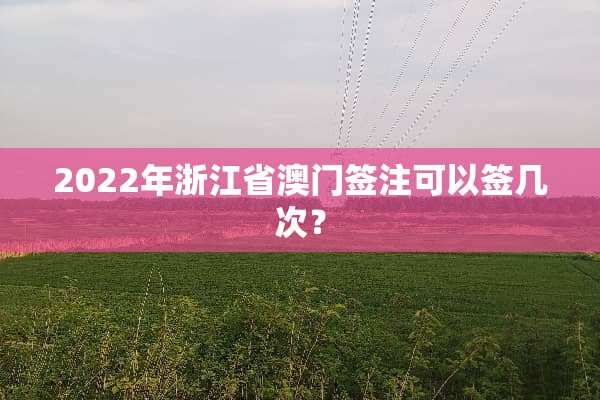 2022年浙江省**签注可以签几次？