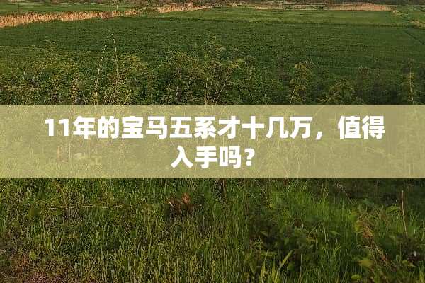 11年的宝马五系才十几万，值得入手吗？