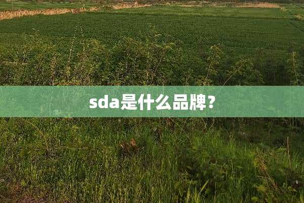 sda是什么品牌？
