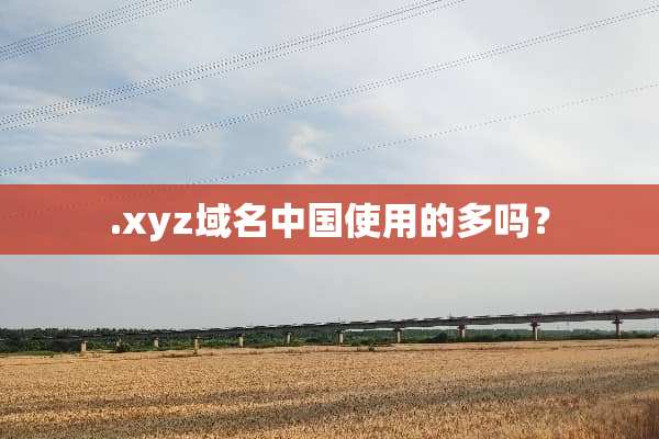 ****域名中国使用的多吗？