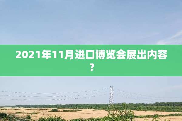 2021年11月进口博览会展出内容？