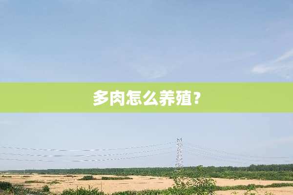 多肉怎么养殖？