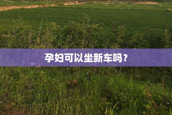 孕妇可以坐新车吗？